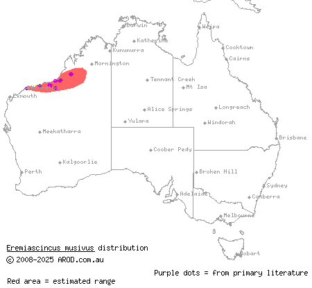 mosaic desert skink (Eremiascincus musivus) distribution range map