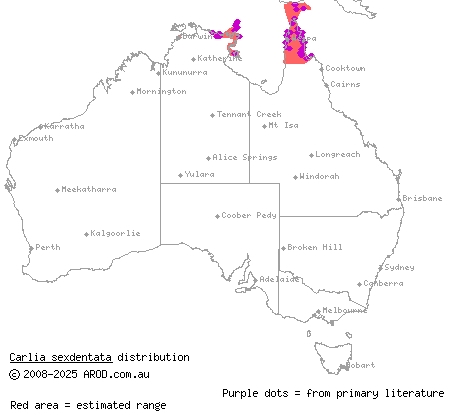 six-toothed rainbow-skink (Carlia sexdentata) distribution range map