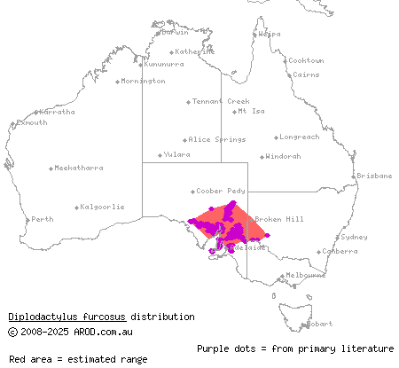 ranges stone gecko (Diplodactylus furcosus) distribution range map