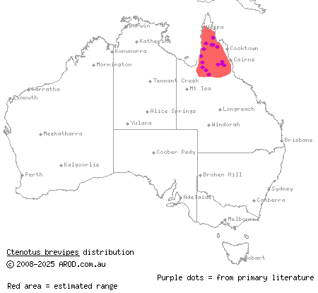 short-footed ctenotus (Ctenotus brevipes) distribution range map