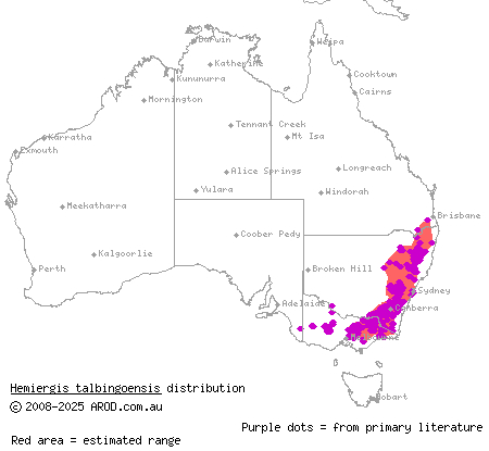 Eastern three-toed earless skink (Hemiergis talbingoensis) distribution range map