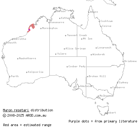 Resetar's mangrove snake (Myron resetari) distribution range map