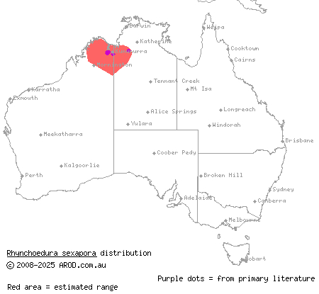 northern beaked gecko (Rhynchoedura sexapora) distribution range map