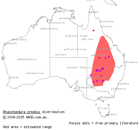 eastern beaked gecko (Rhynchoedura ormsbyi) distribution range map