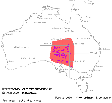 Eyre Basin beaked gecko (Rhynchoedura eyrensis) distribution range map