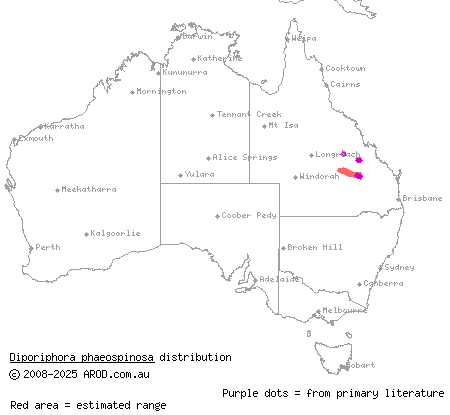 black-spined nobbi dragon (Diporiphora phaeospinosa) distribution range map