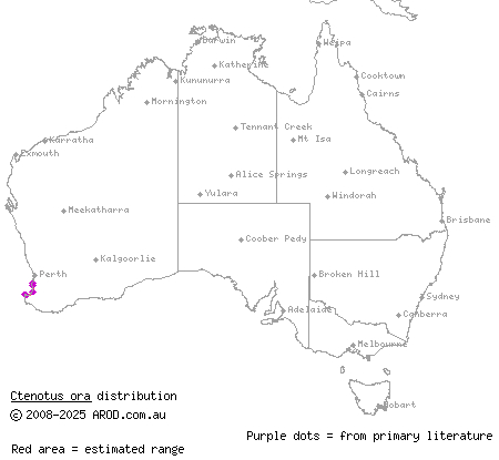 coastal plains skink (Ctenotus ora) distribution range map