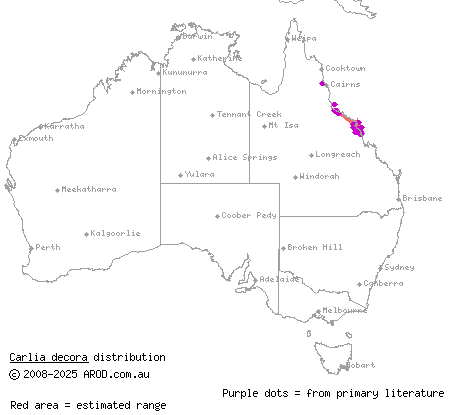 elegant rainbow-skink (Carlia decora) distribution range map