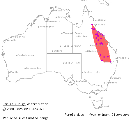 orange-flanked rainbow-skink (Carlia rubigo) distribution range map