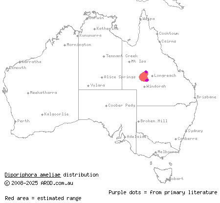 Amelia's dragon (Diporiphora ameliae) distribution range map