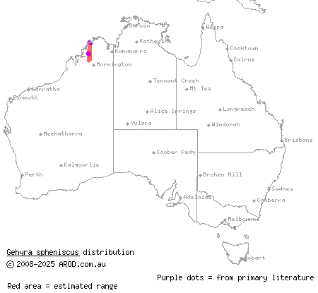 small wedge-toed gecko (Gehyra spheniscus) distribution range map