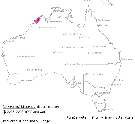 multi-pored gecko (Gehyra multiporosa) distribution range map